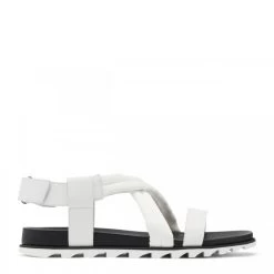 Sorel Women's Roaming Decon Sandal In Sea Salt