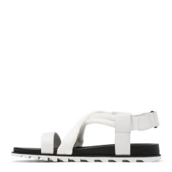 Sorel Women's Roaming Decon Sandal In Sea Salt -Chic Shoe Specialty Store 1936621 125 m presethigh res 1100x